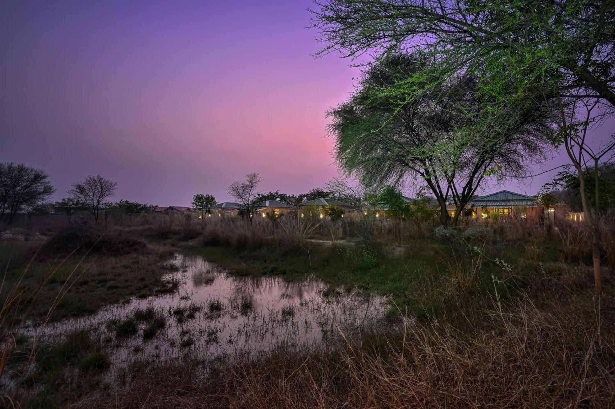 Bagh Serai - Rustic Cottage With Private Pool Sawai Madhopur Exterior foto